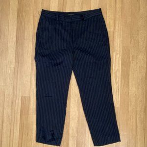 BANANA REPUBLIC Avery Mid Rise Straight through Hip/Thigh Ankle Length Size 8